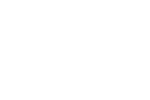 品数豊富で見た目にも豪華な