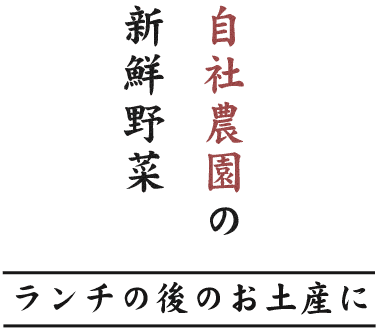 自社農園の新鮮野菜