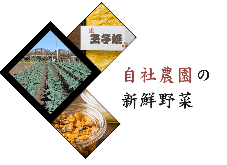 自社農園の新鮮野菜